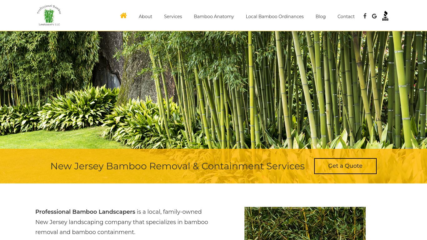 Landscaping picture of the company website Professional Bamboo Landscapers