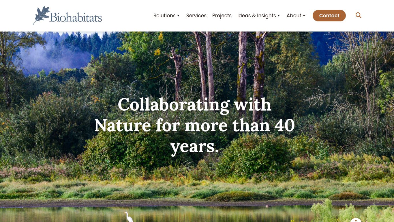 Landscaping picture of the company website Biohabitats