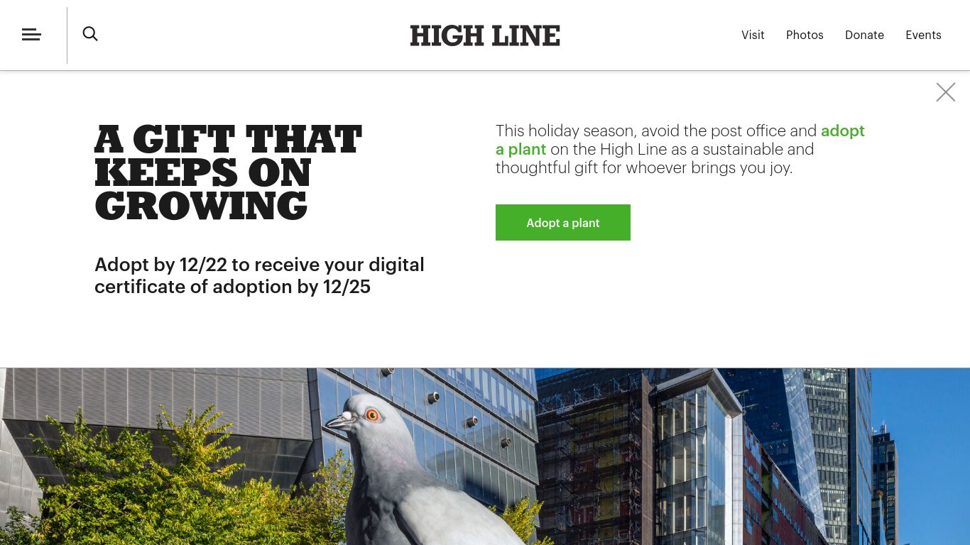 Landscaping picture of the company website High Line